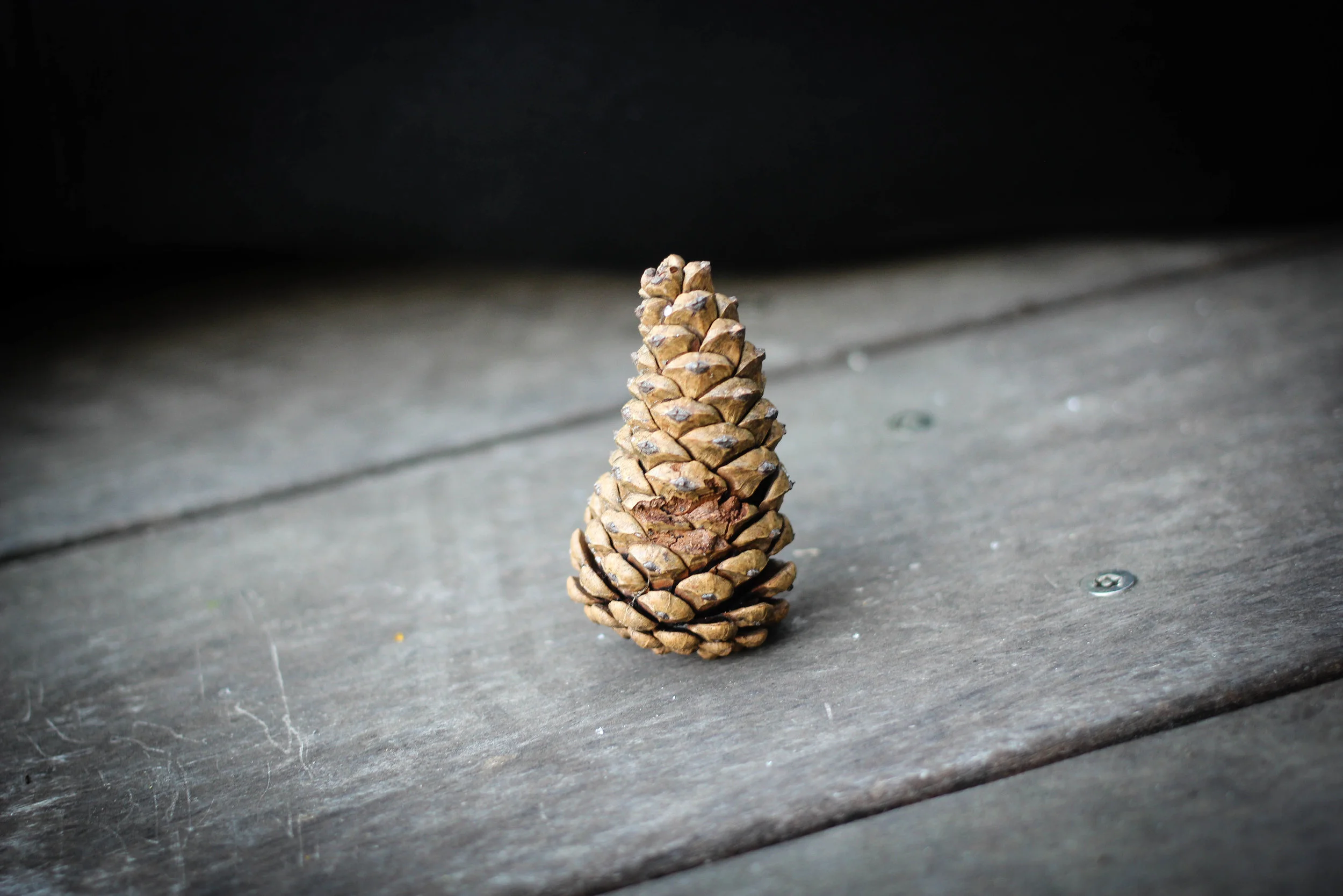 ©AKP Photography, LLC 2017