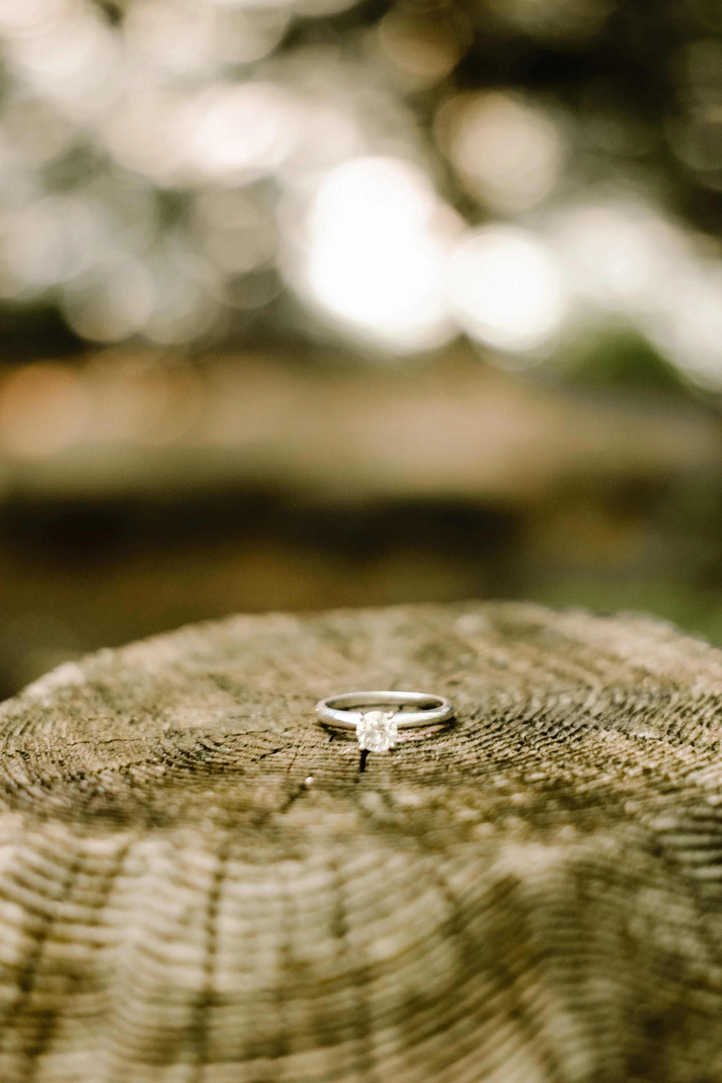 ©AKP Photography, LLC 2018