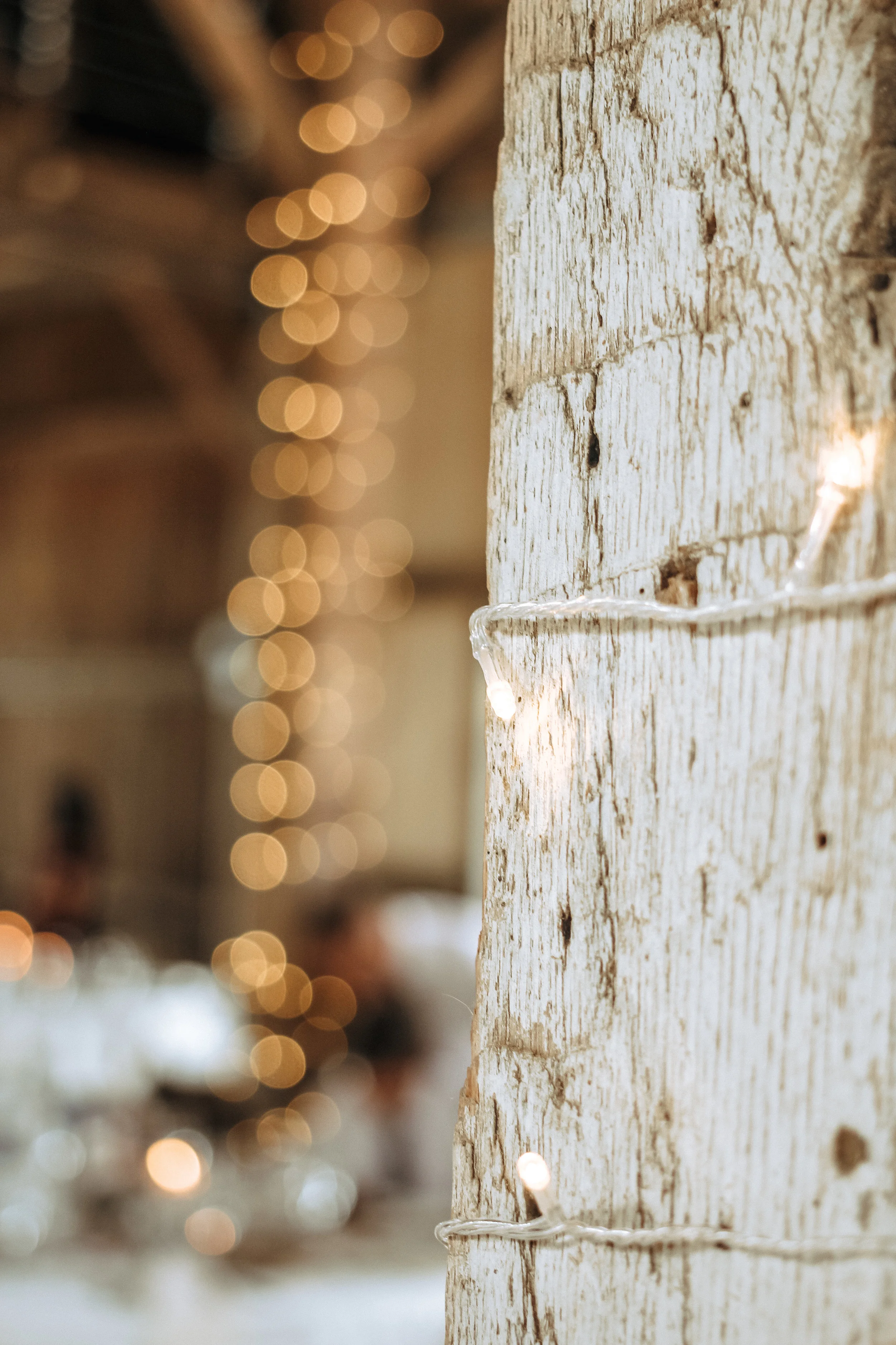 ©AKP Photography, LLC 2018