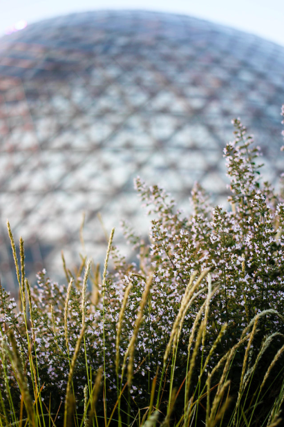 Screen Shot 2019-07-13 at 11.47.31 AM.png