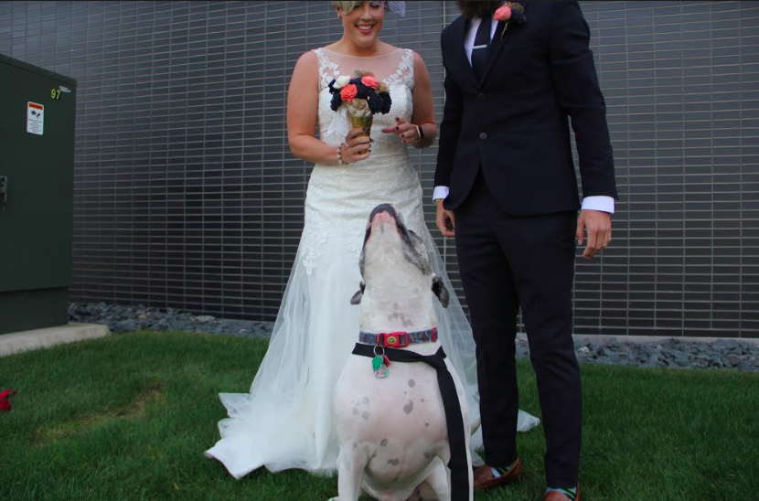 Screen Shot 2019-08-18 at 8.09.15 PM.png