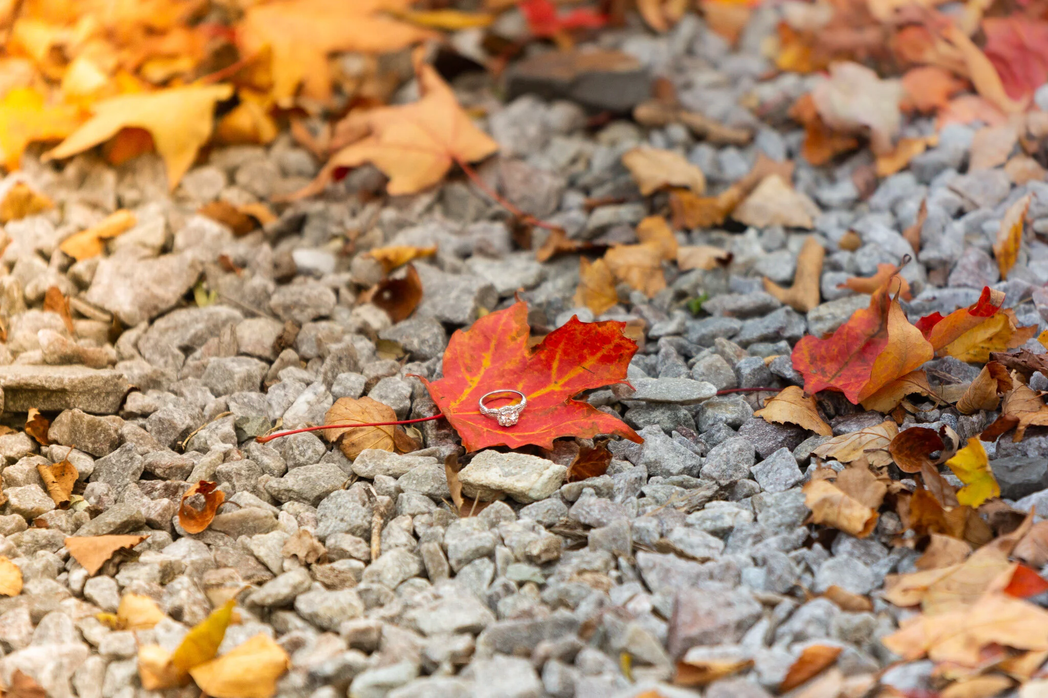 ©AKP Photography, LLC 2019