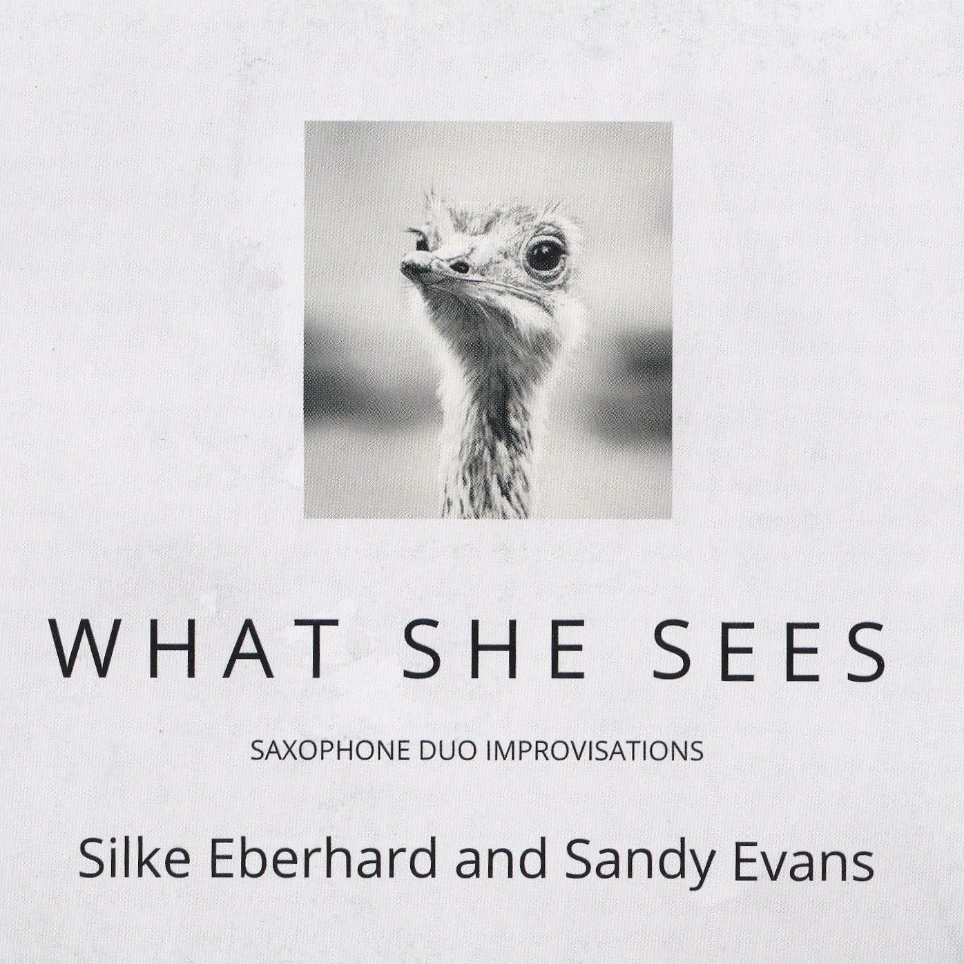 EvansSandyEberhardWhatSheSees.jpg