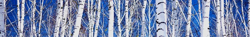 birch%2Bgrove.jpg