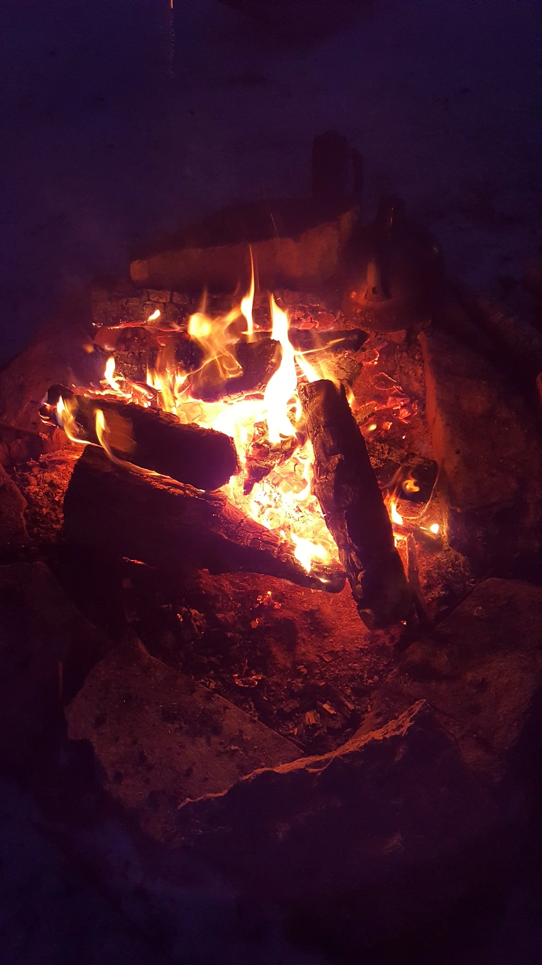 Through The Trees is On Fire!!