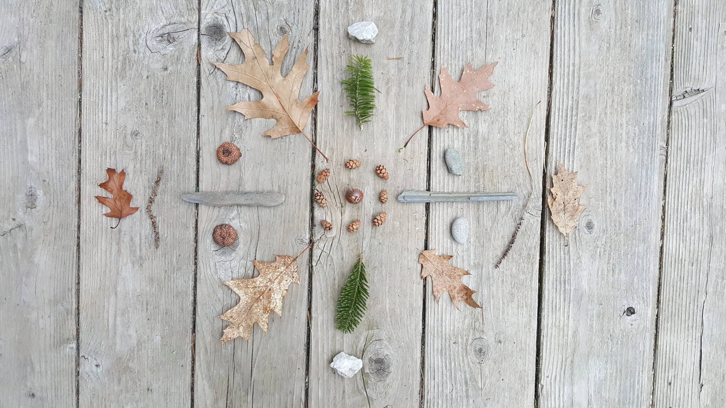 Nature Connection Challenge - Day 2