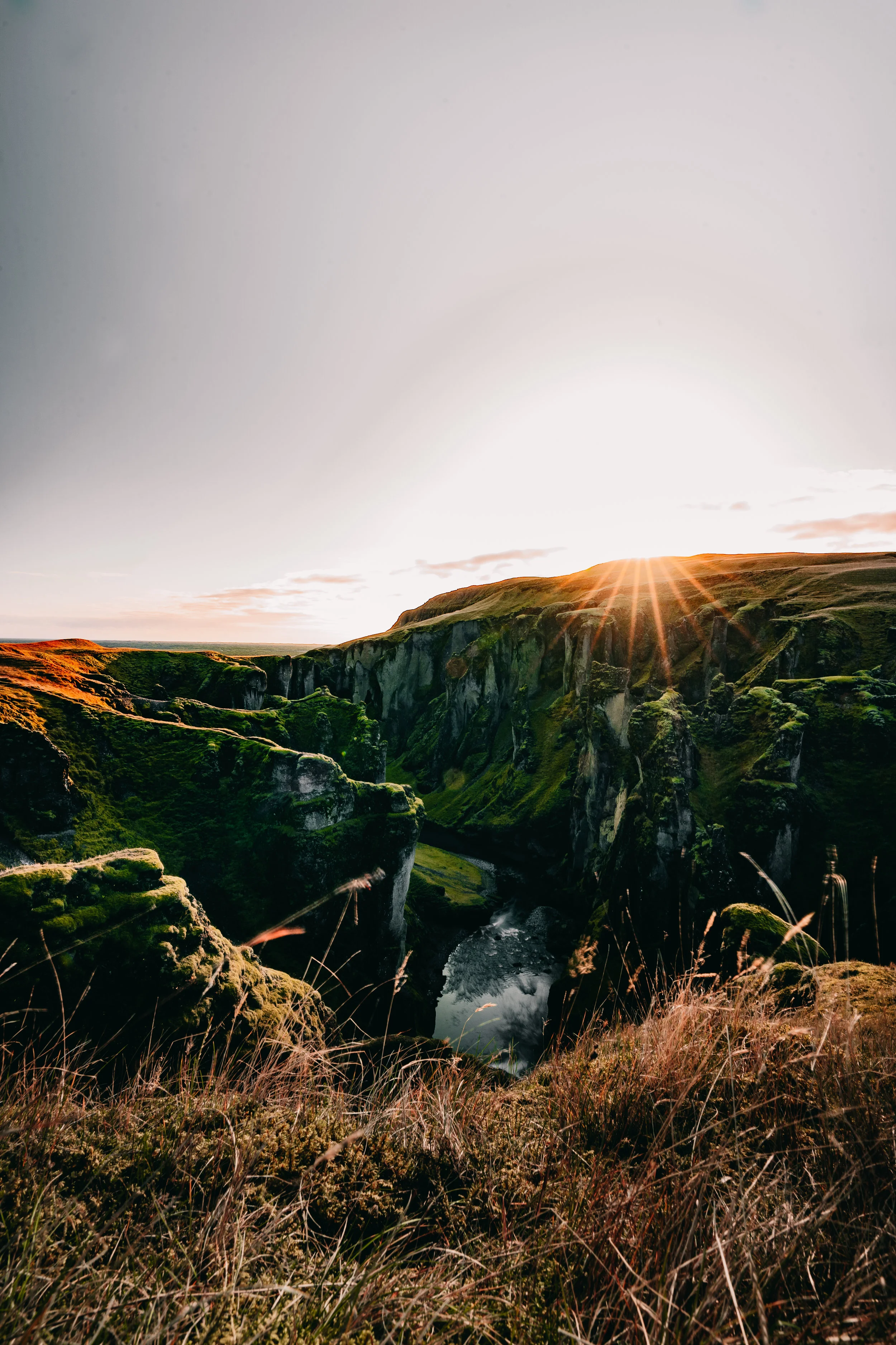 Nature Connection Challenge - Day 3