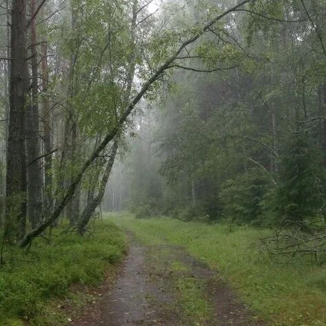 Nature Connection Challenge - Day 4