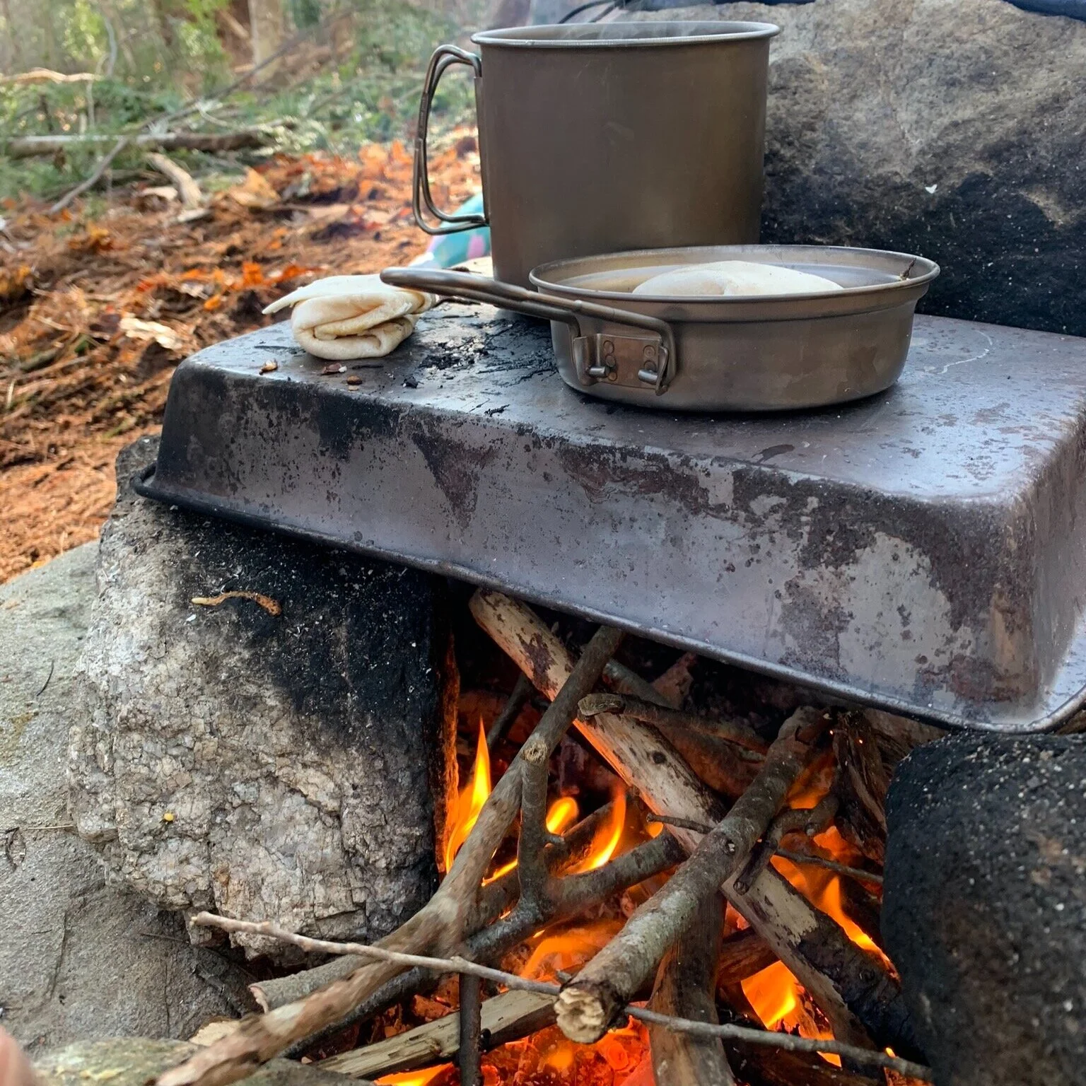 Nature Connection Challenge - Day 6