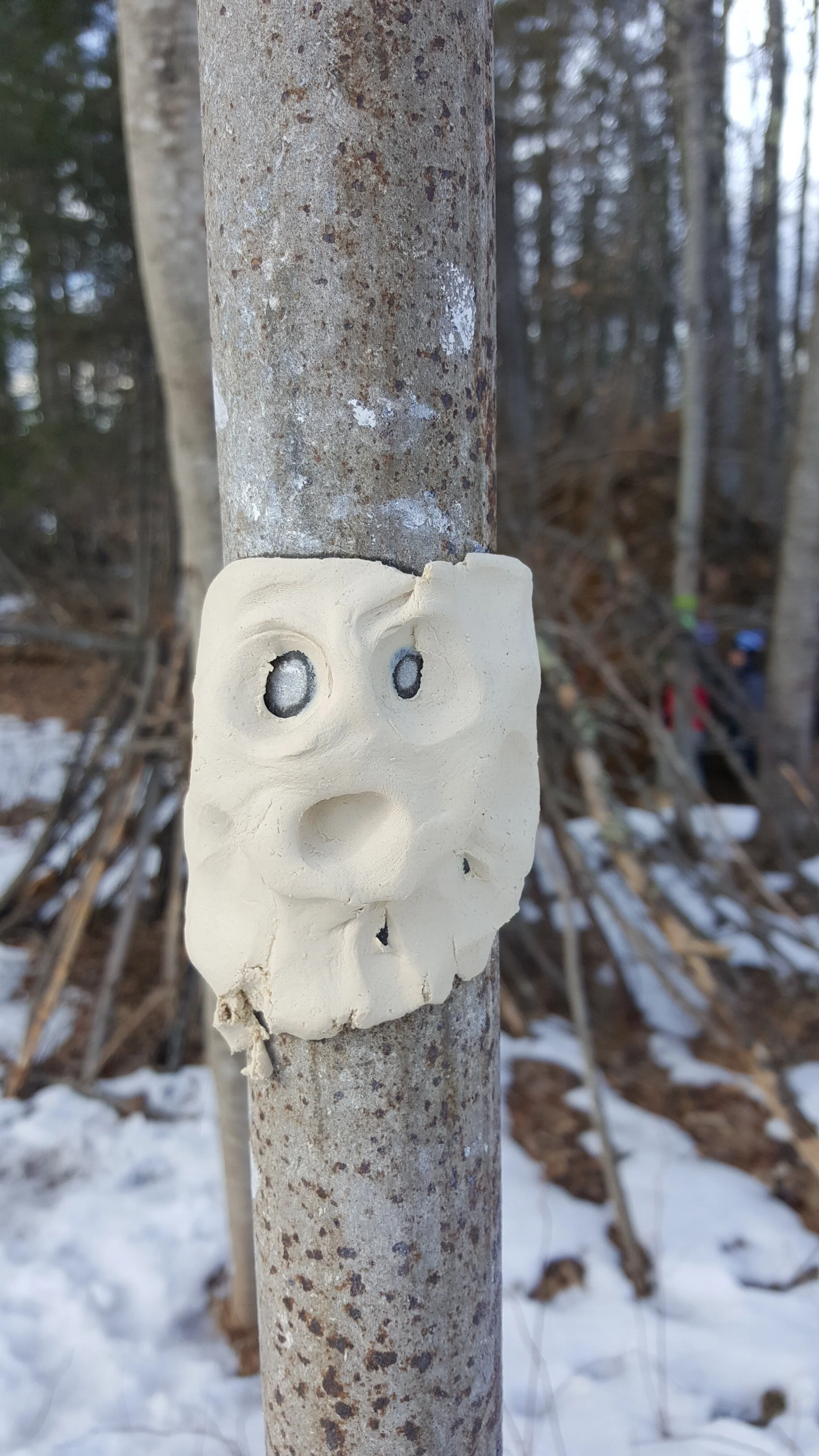 Nature Connection Challenge - Day 9