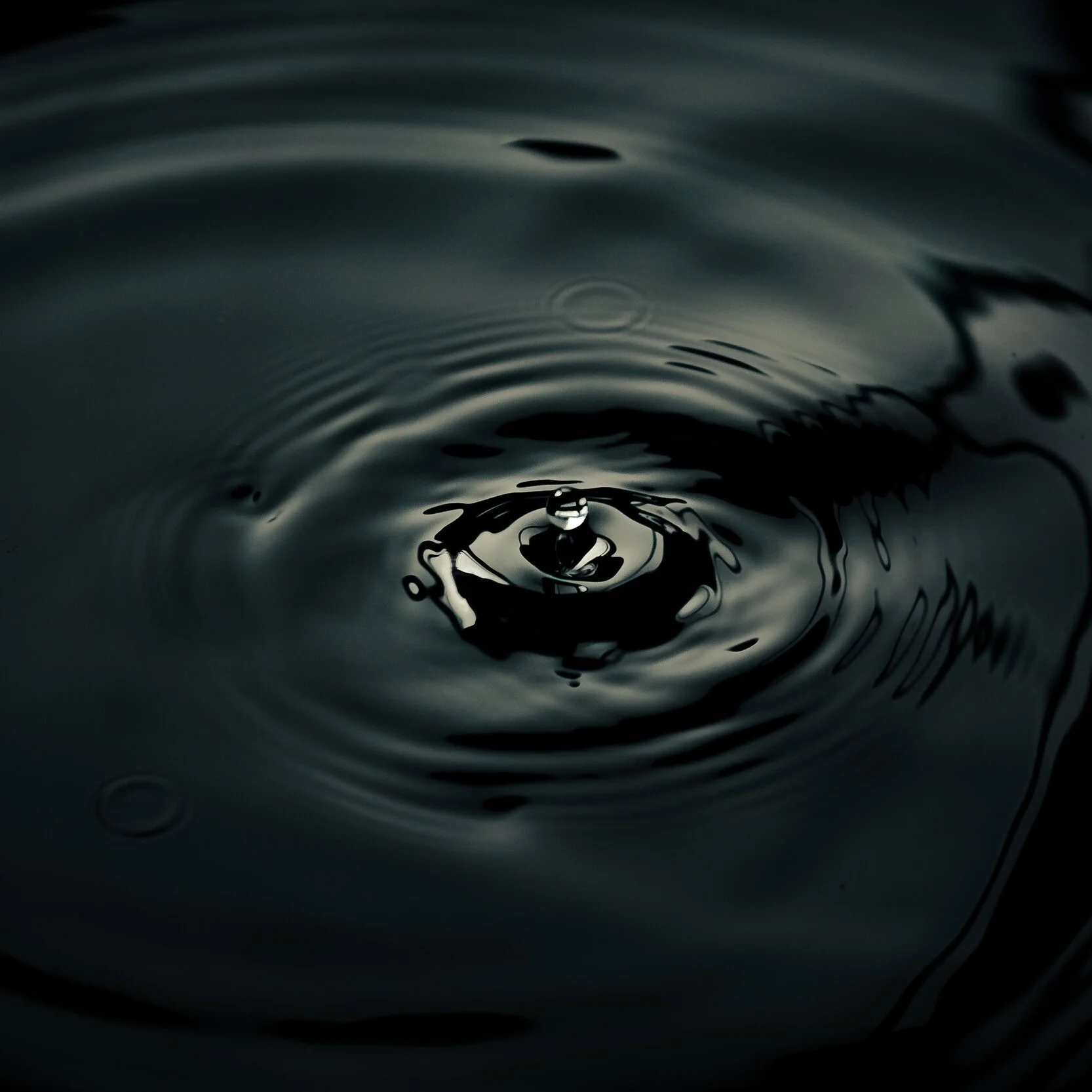 Nature Connection Challenge - Day 14