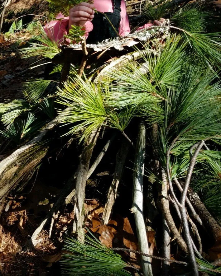 Nature Connection Challenge - Day 16