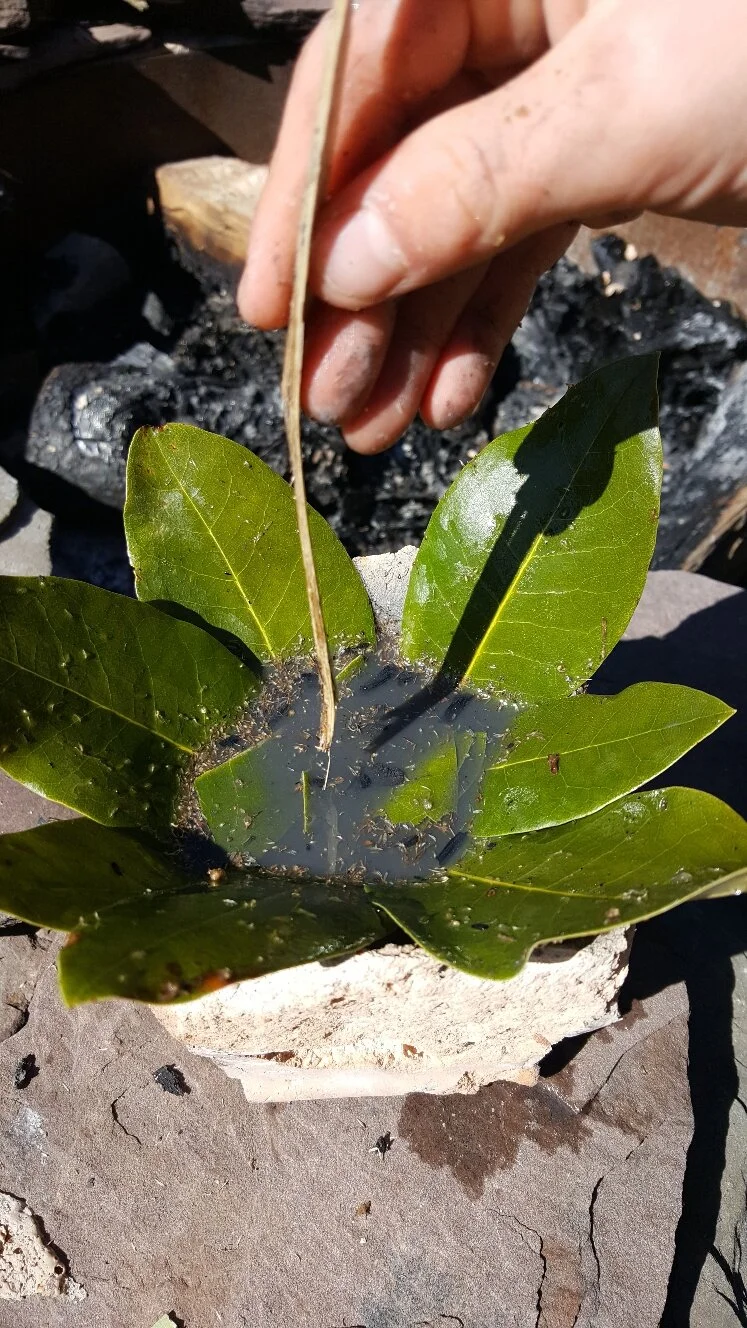 Nature Connection Challenge - Day 19