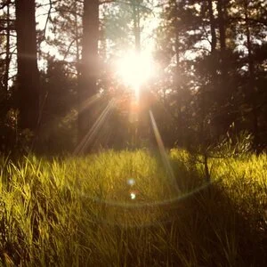 Nature Connection Challenge - Day 24