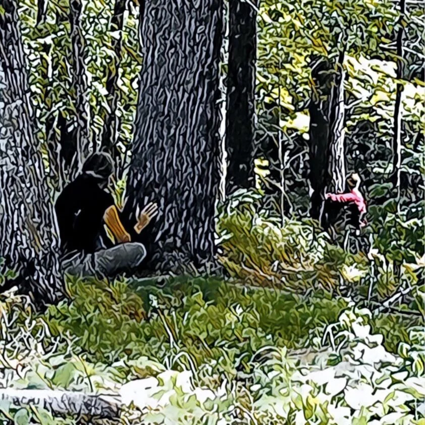 Nature Connection Challenge - Day 26