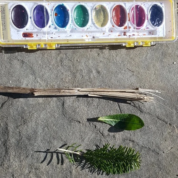 Nature Connection Challenge - Day 23