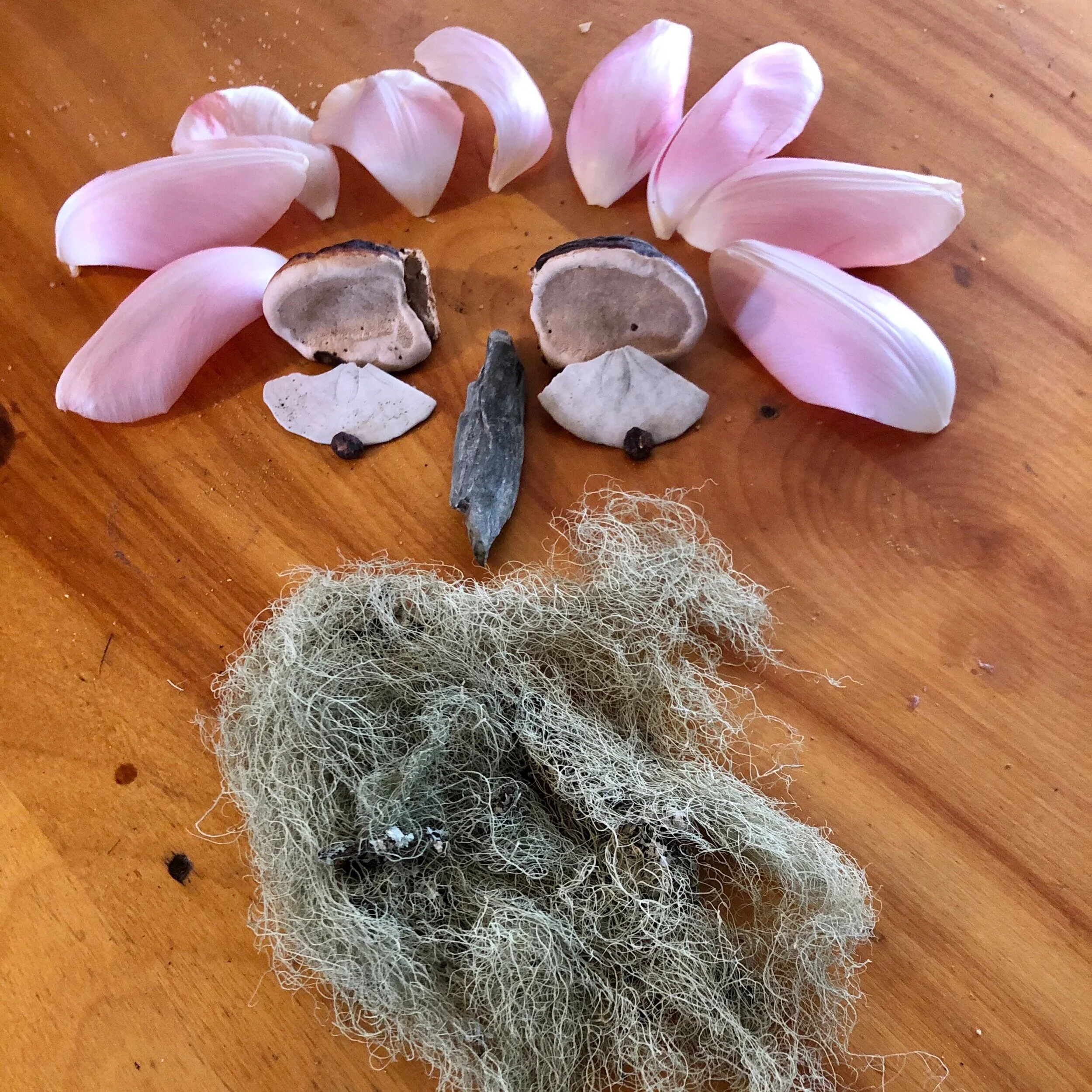 Nature Connection Challenge - Day 42