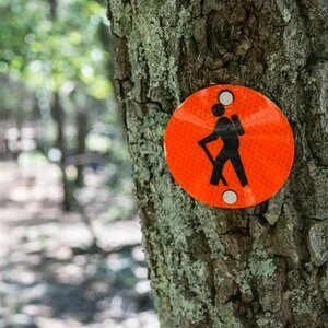 Nature Connection Challenge - Day 46