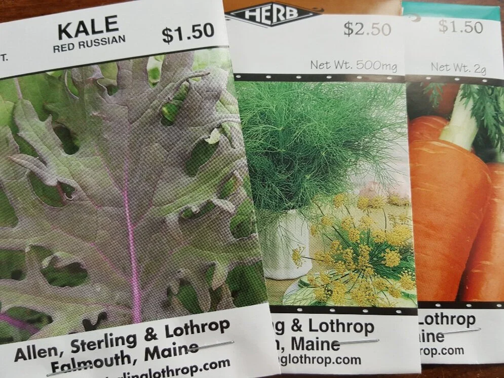 Nature Connection Challenge - Day 48