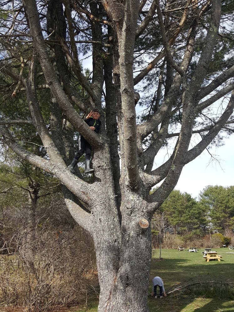 Nature Connection Challenge - Day 51