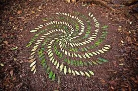 Nature Connection Challenge - Day 59