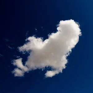 Nature Connection Challenge - Day 63