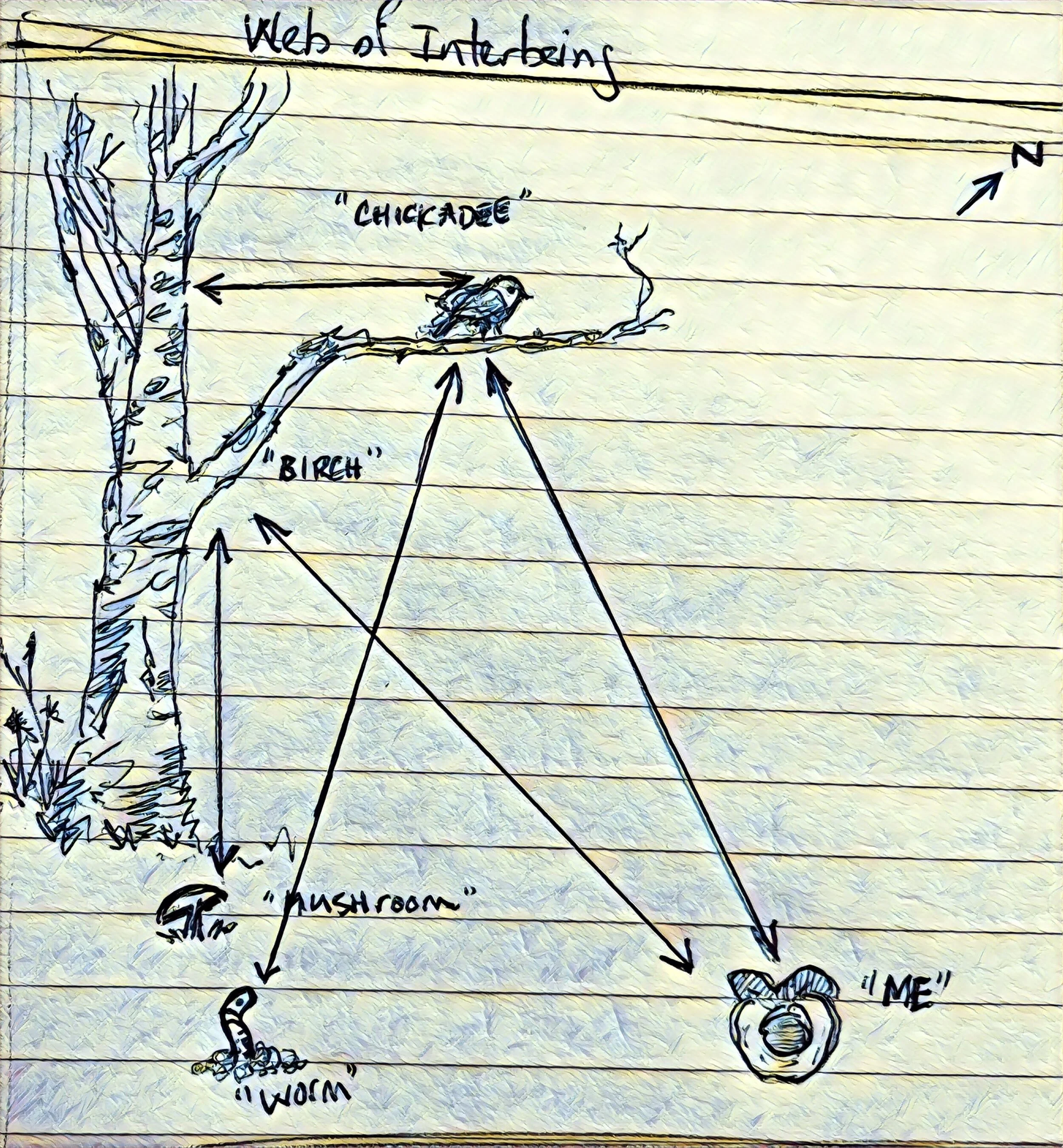 Nature Connection Challenge - Day 57