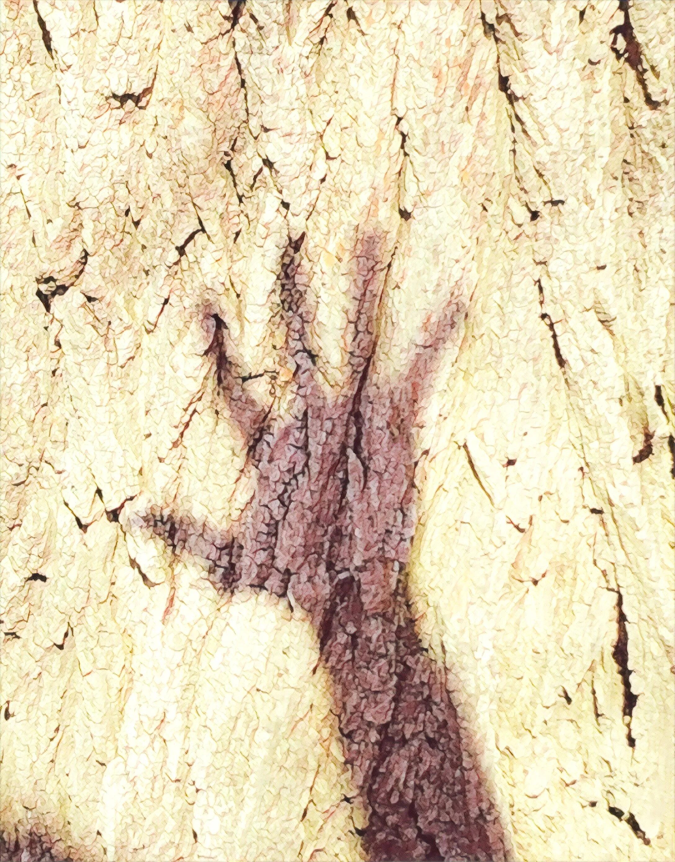 Nature Connection Challenge - Day 64