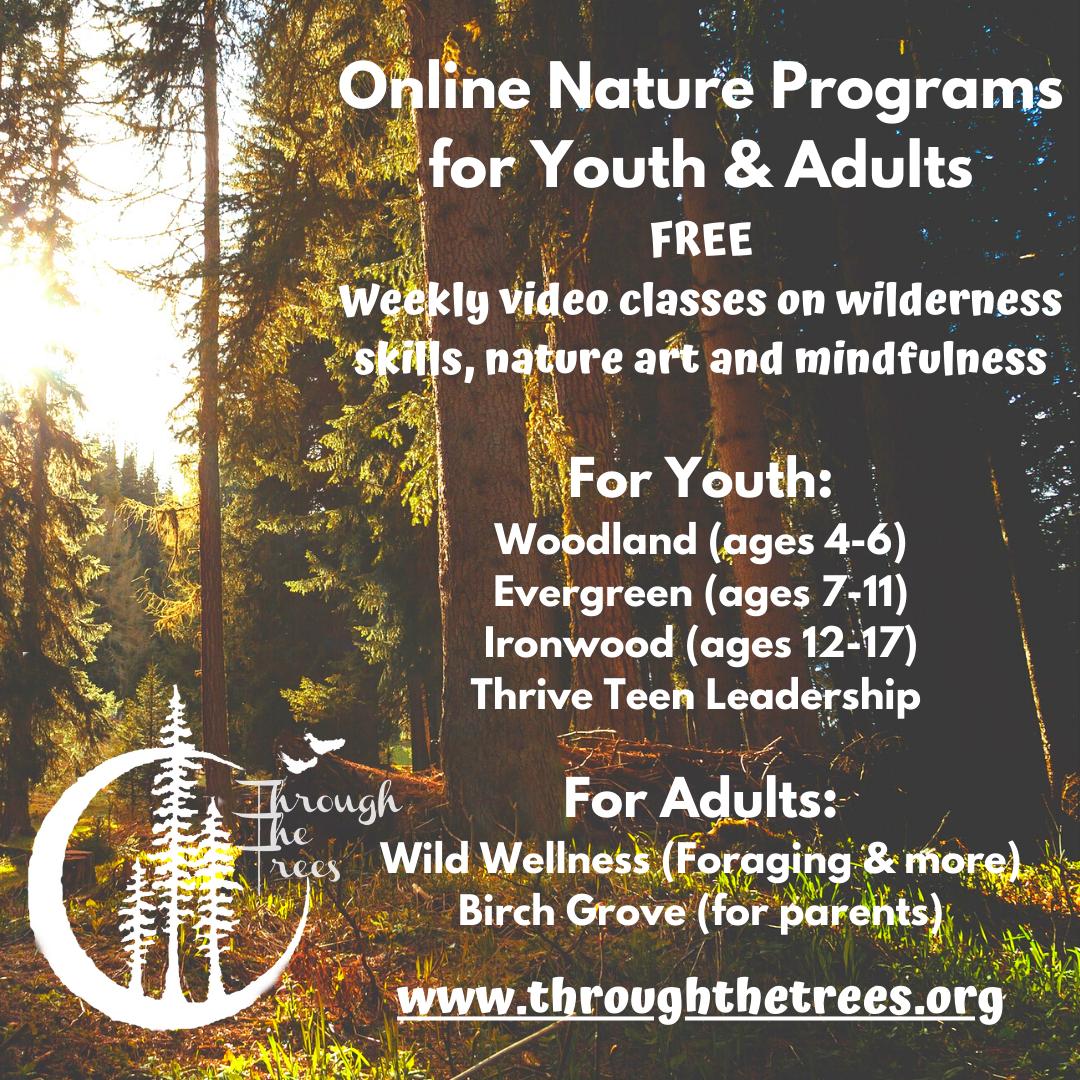 Nature Connection Challange - Day 58