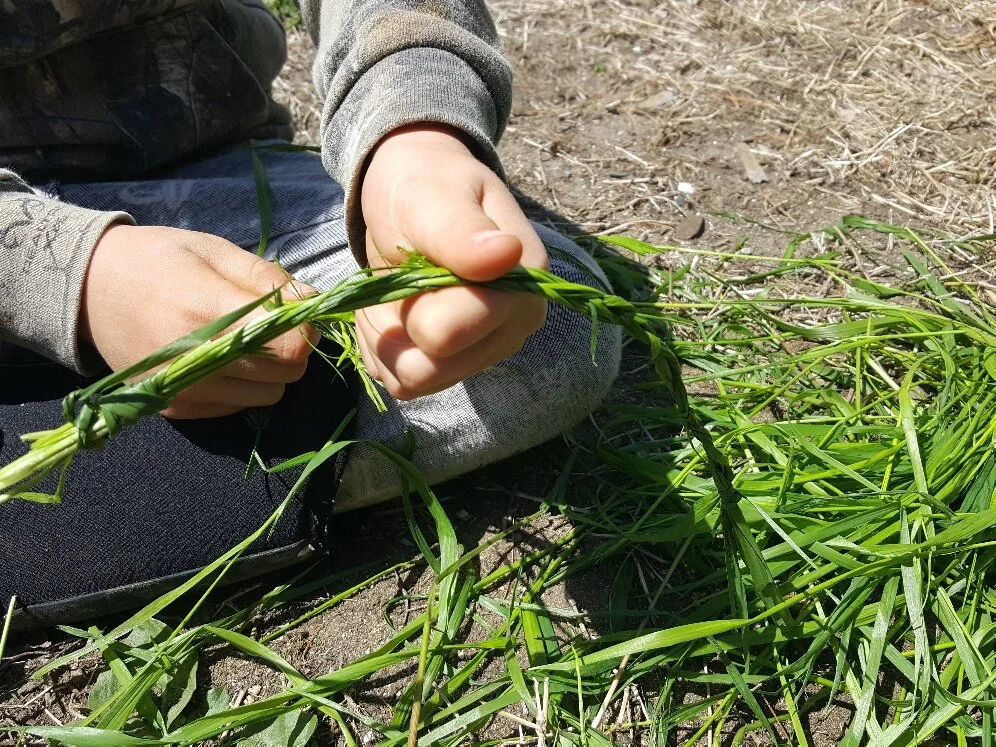 Nature Connection Challenge - Day 65