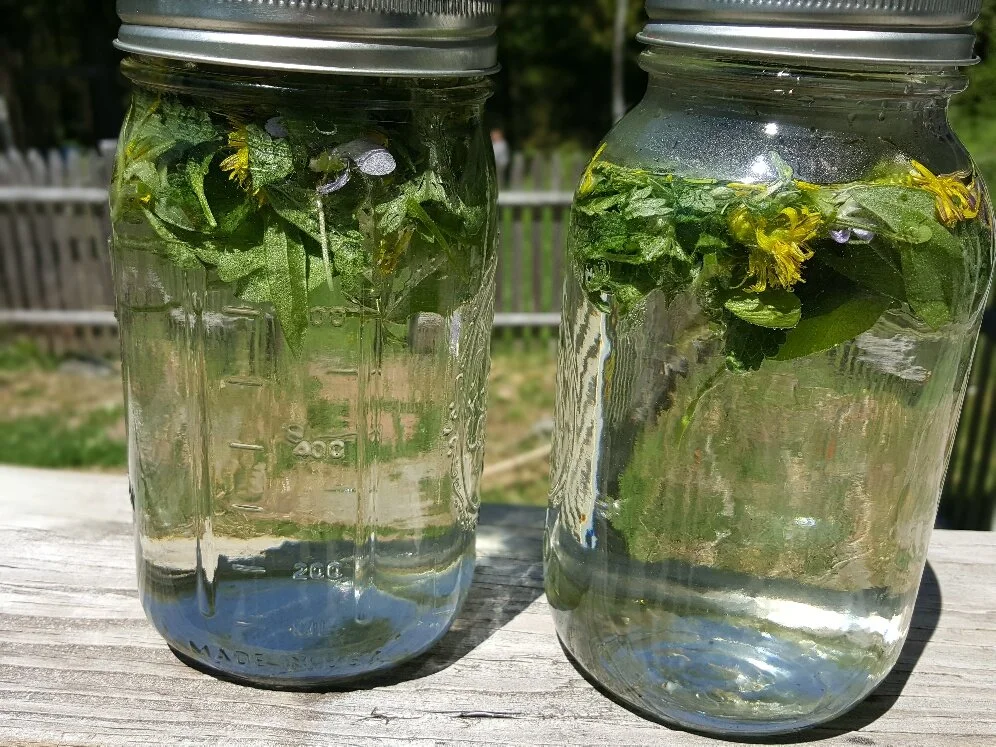 Nature Connection Challenge - Day 70