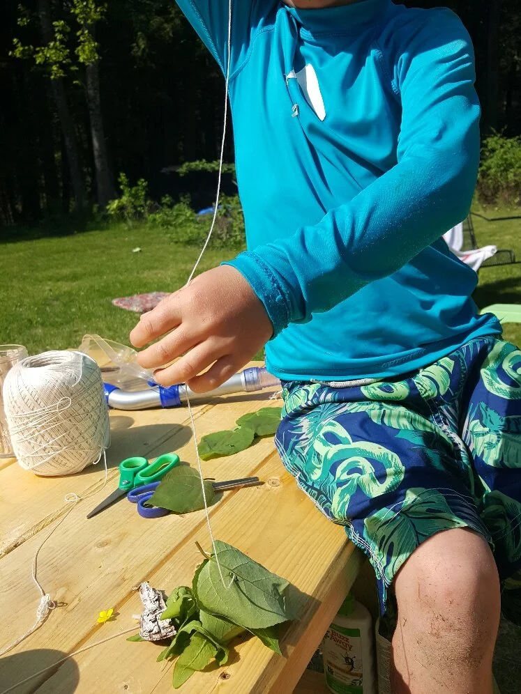 Nature Connection Challenge - Day 75