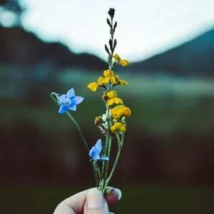 Nature Connection Challenge - Day 77