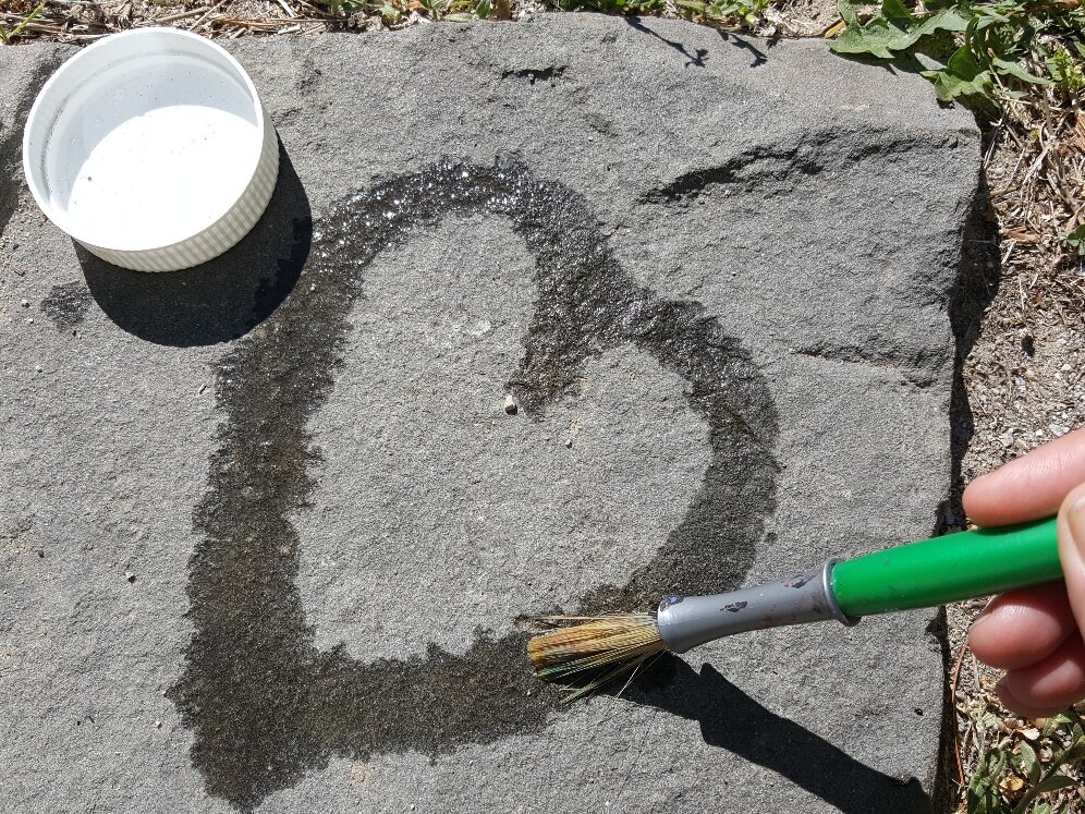 Nature Connection Challenge - Day 79