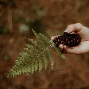 Nature Connection Challenge - Day 84