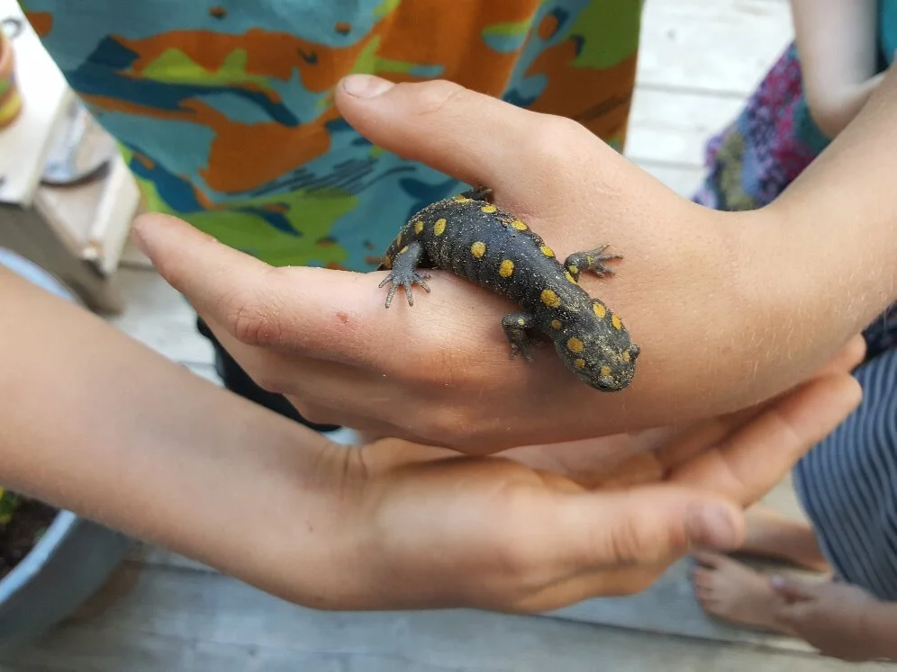 Nature Connection Challenge - Day 89