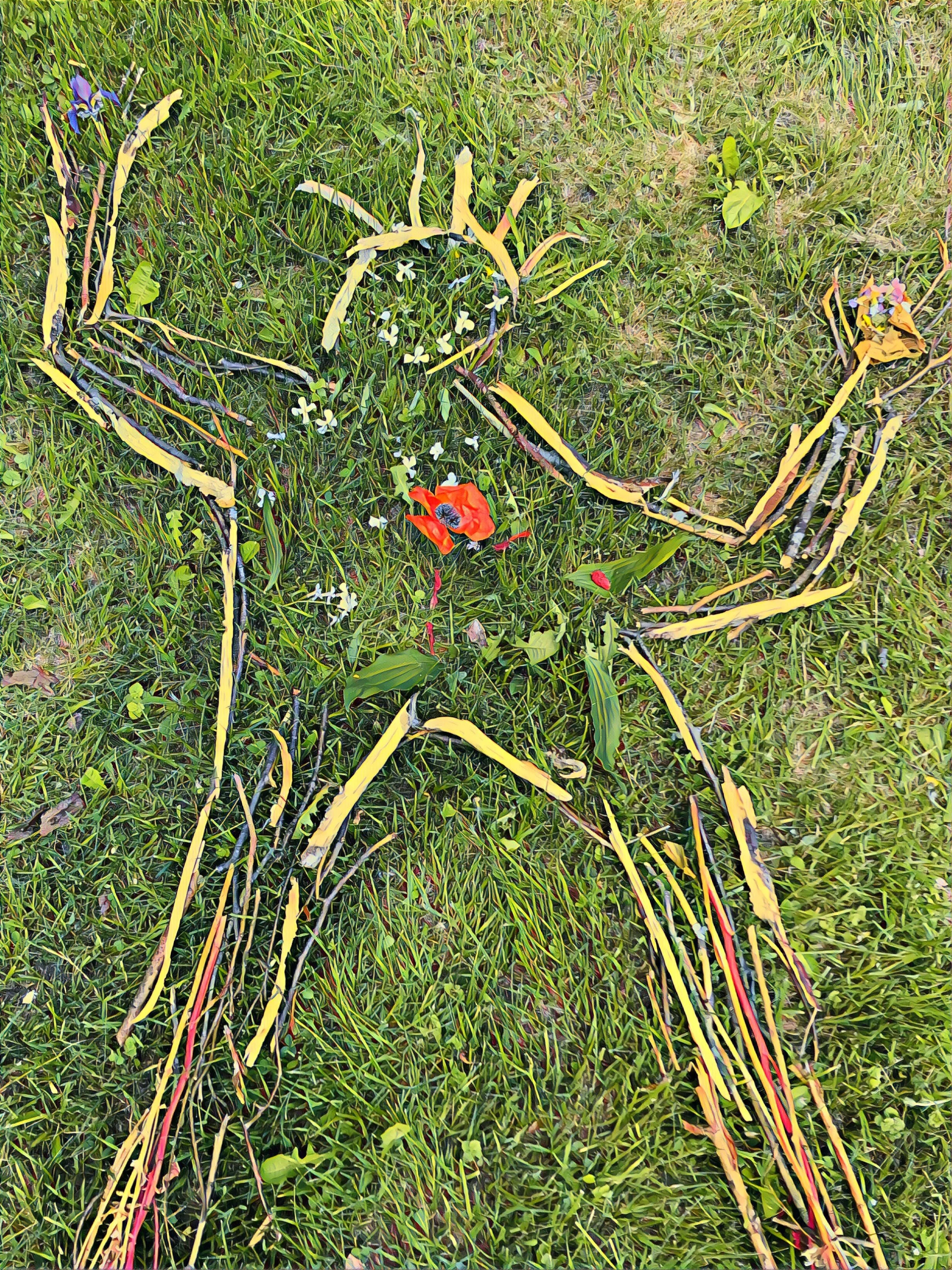 Nature Connection Challenge - Day 92