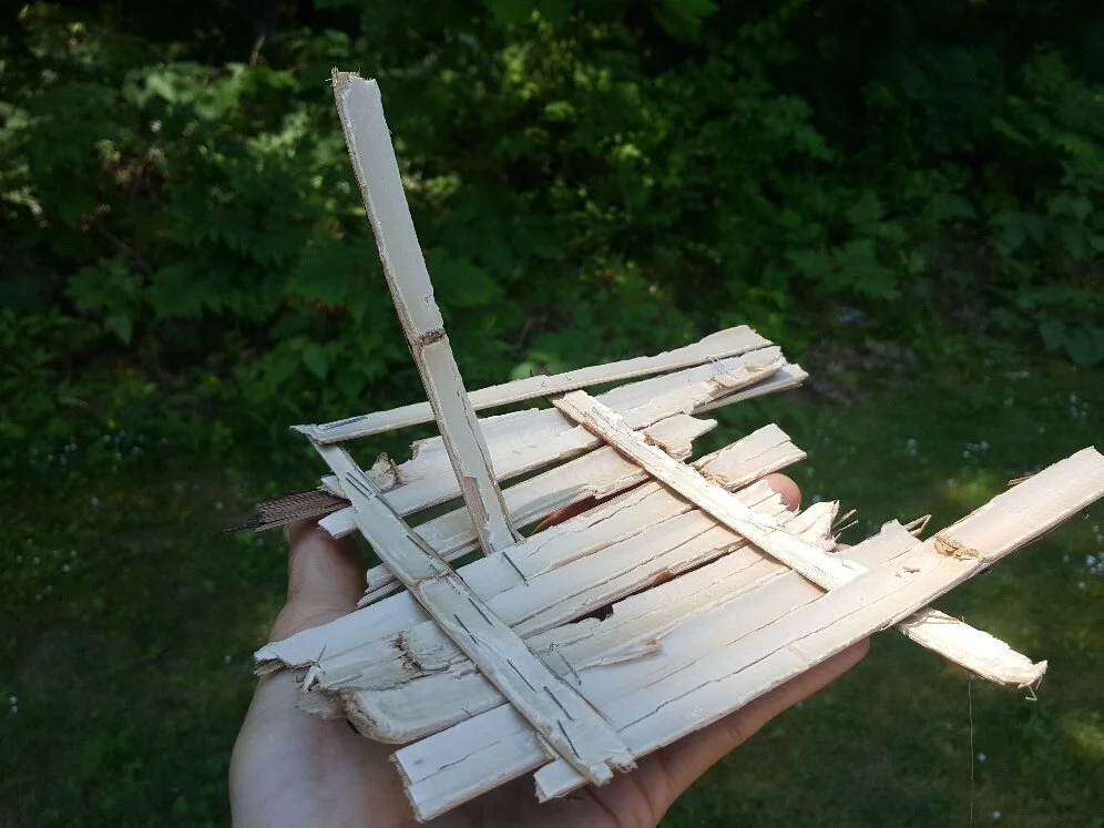 Nature Connection Challenge - Day 97