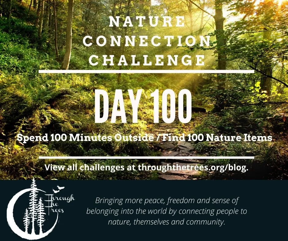 Nature Connection Challenge - Day 100!