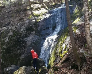 Local Natural Wonders - Day 6