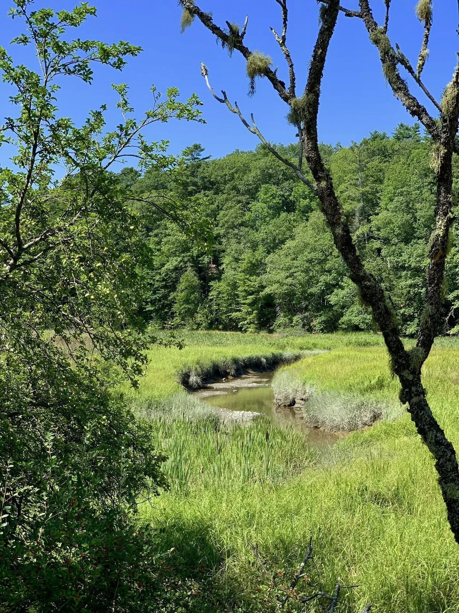 Local Natural Wonders - Day 7