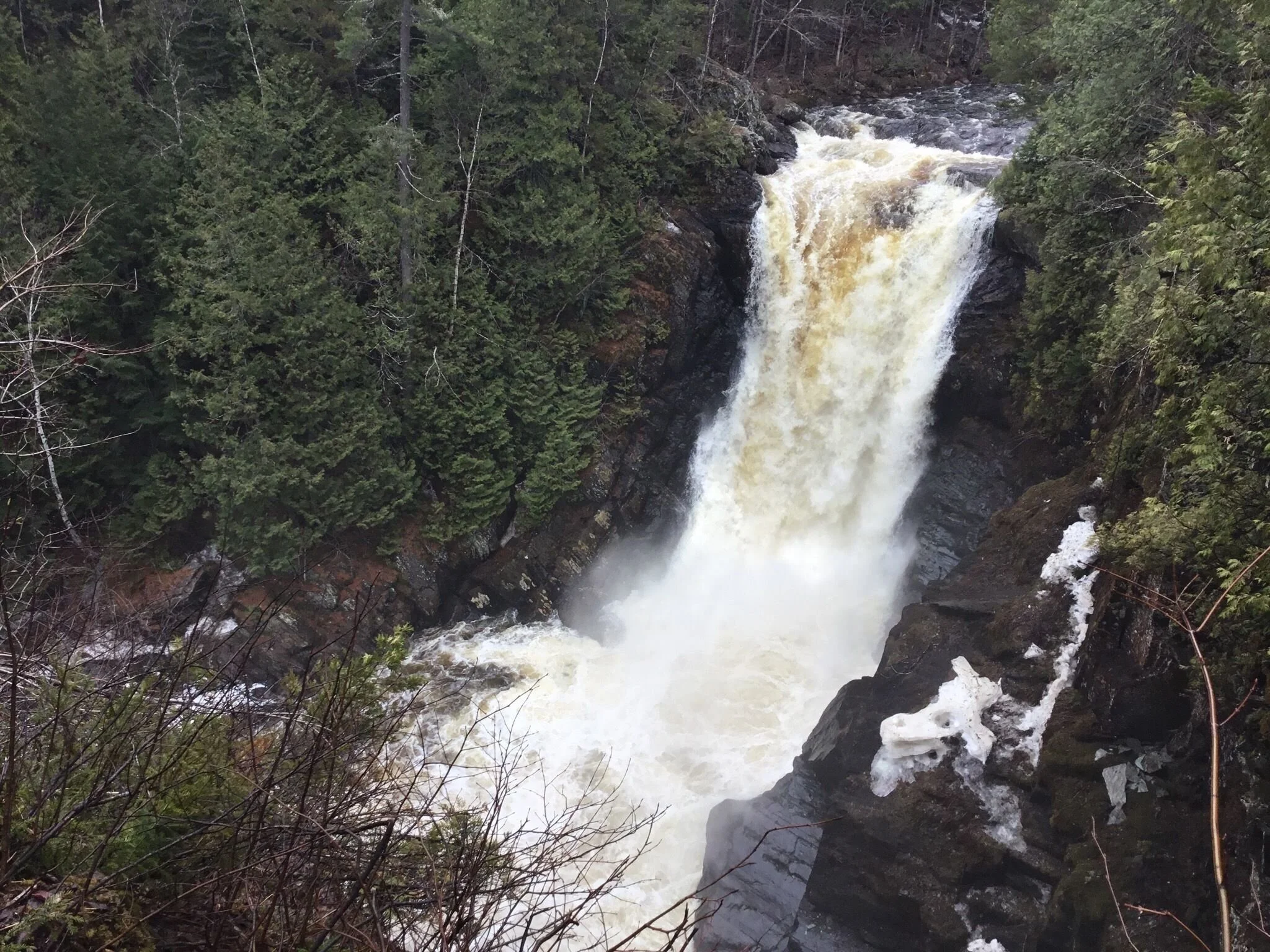 Local Natural Wonders - Day 8