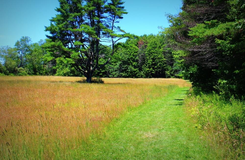 Local Natural Wonders - Day 10