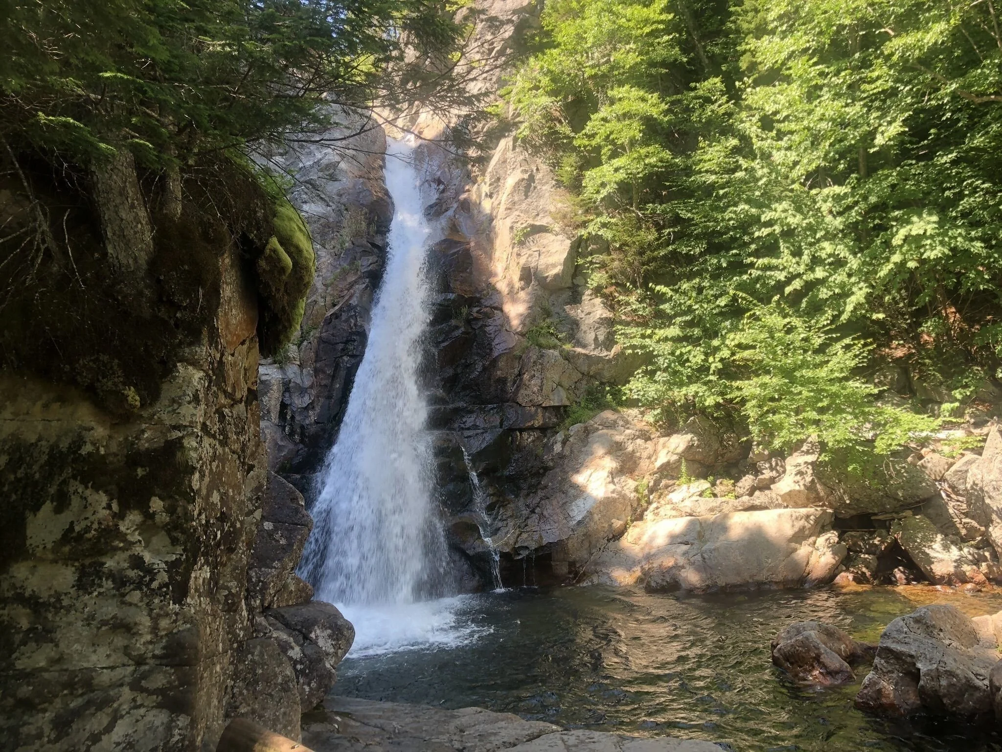 Local Natural Wonders - Day 13