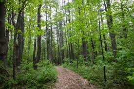 Local Natural Wonders - Day 12