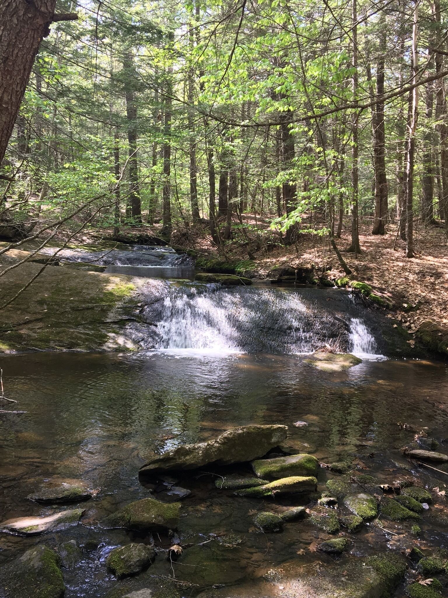 Local Natural Wonders - Day 14