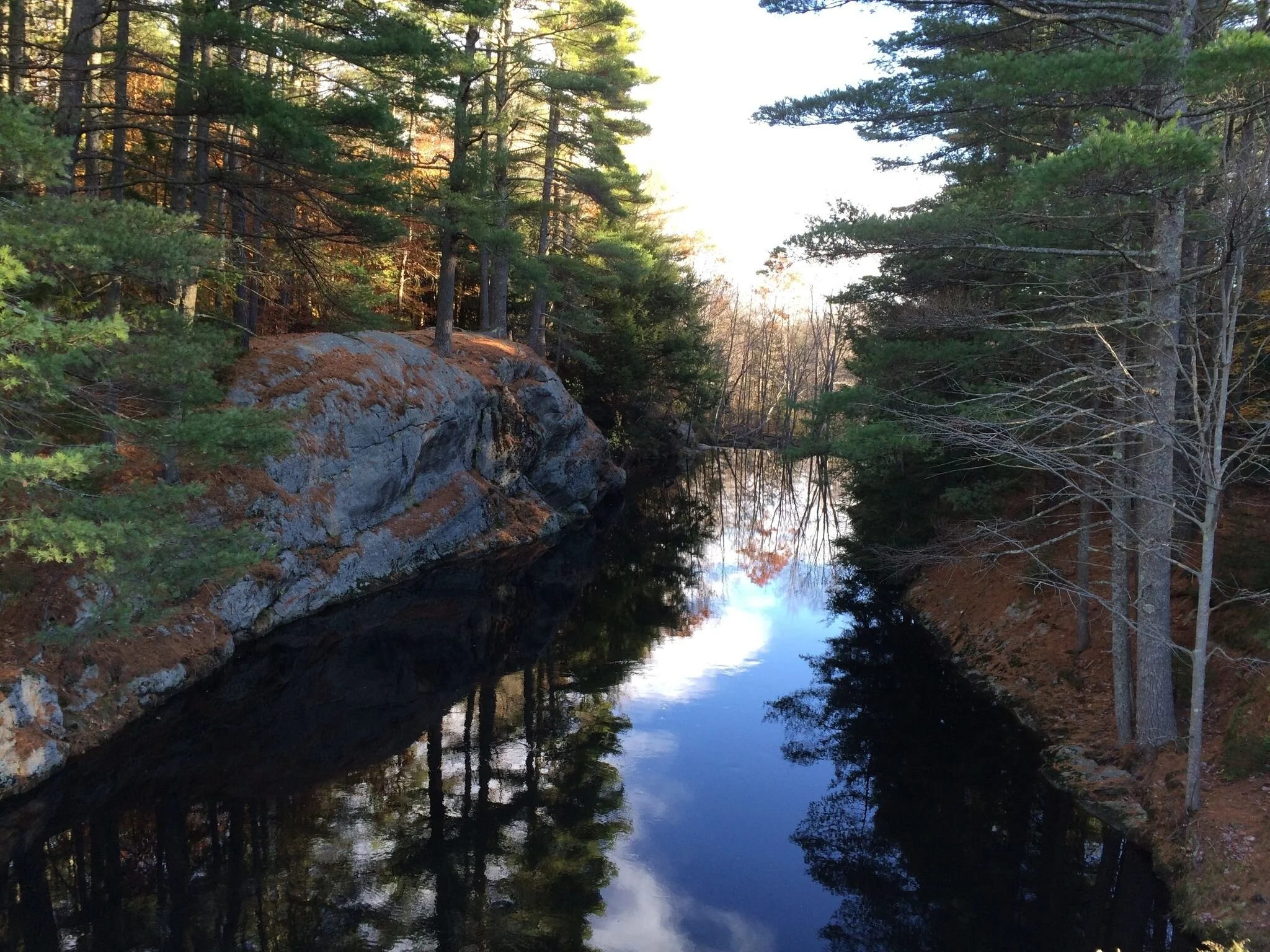 Local Natural Wonders - Day 21