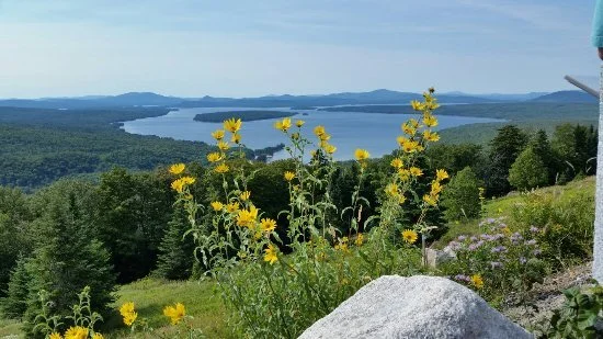 Local Natural Wonders - Day 24