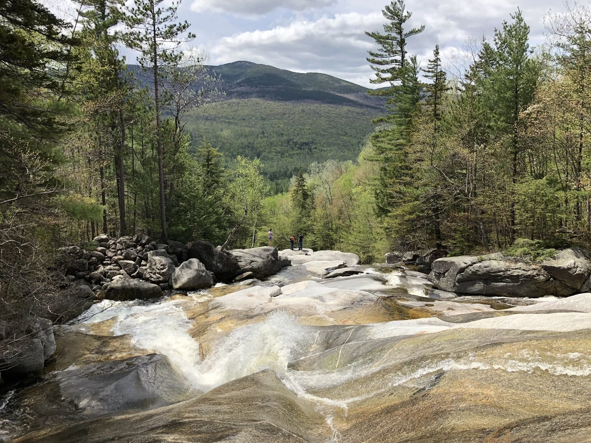 Local Natural Wonders - Day 25