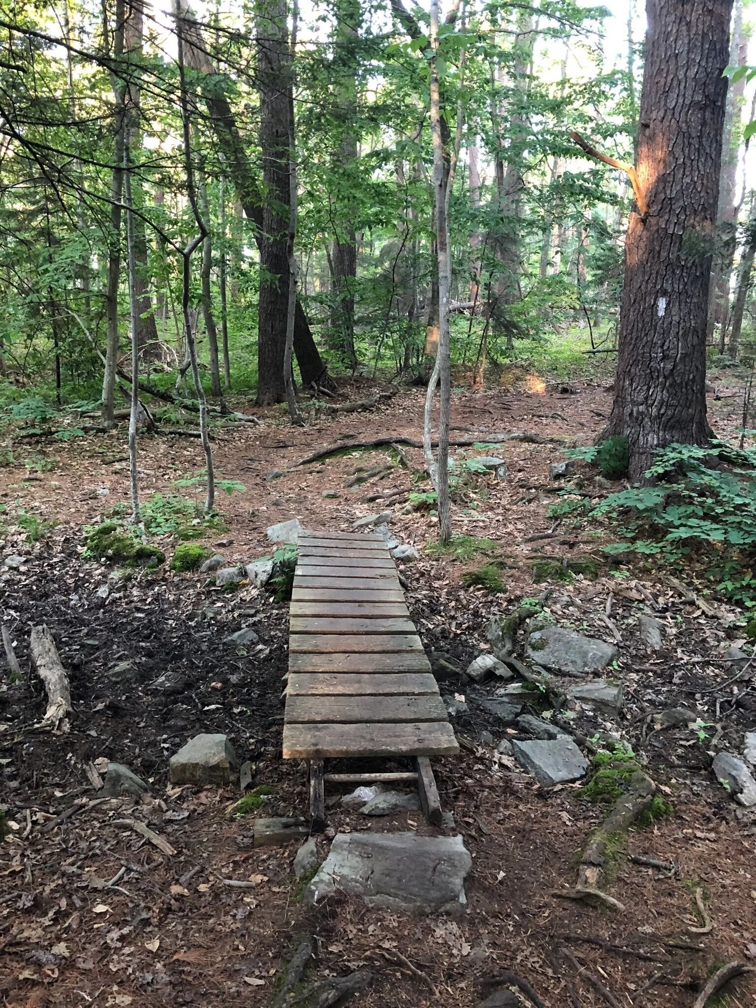 Local Natural Wonders - Day 27